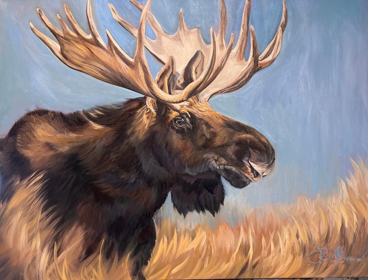Bull Moose by Joelle Goff