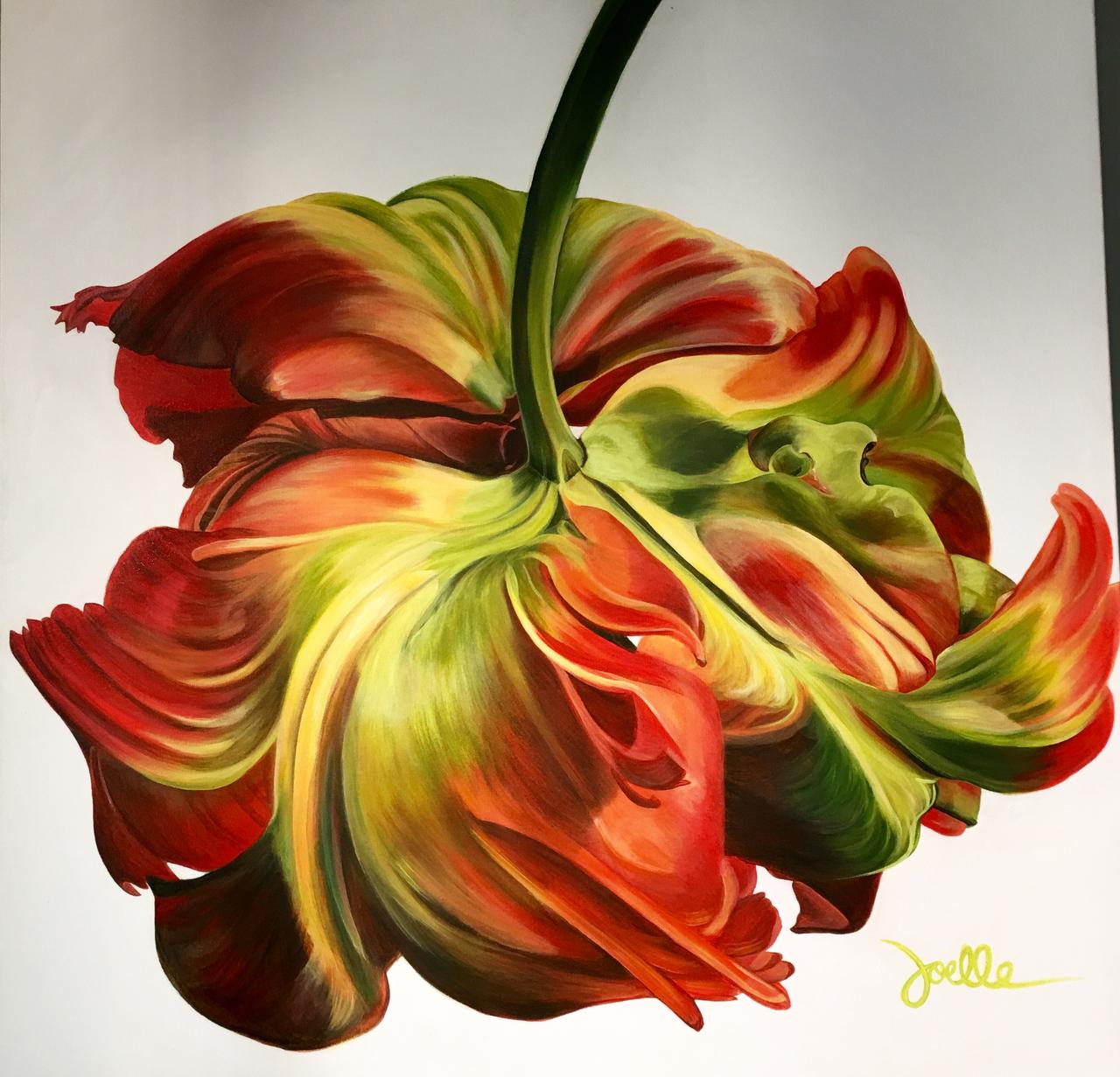 Fainting Tulip by Joelle Goff