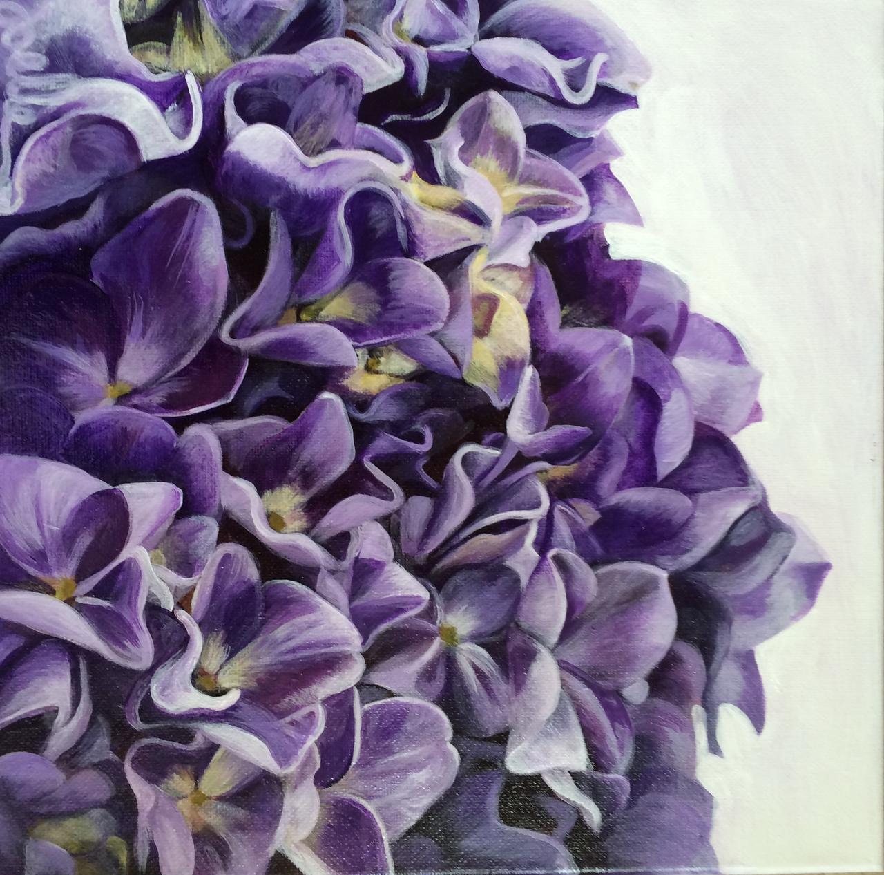 Hydrangea by Joelle Goff