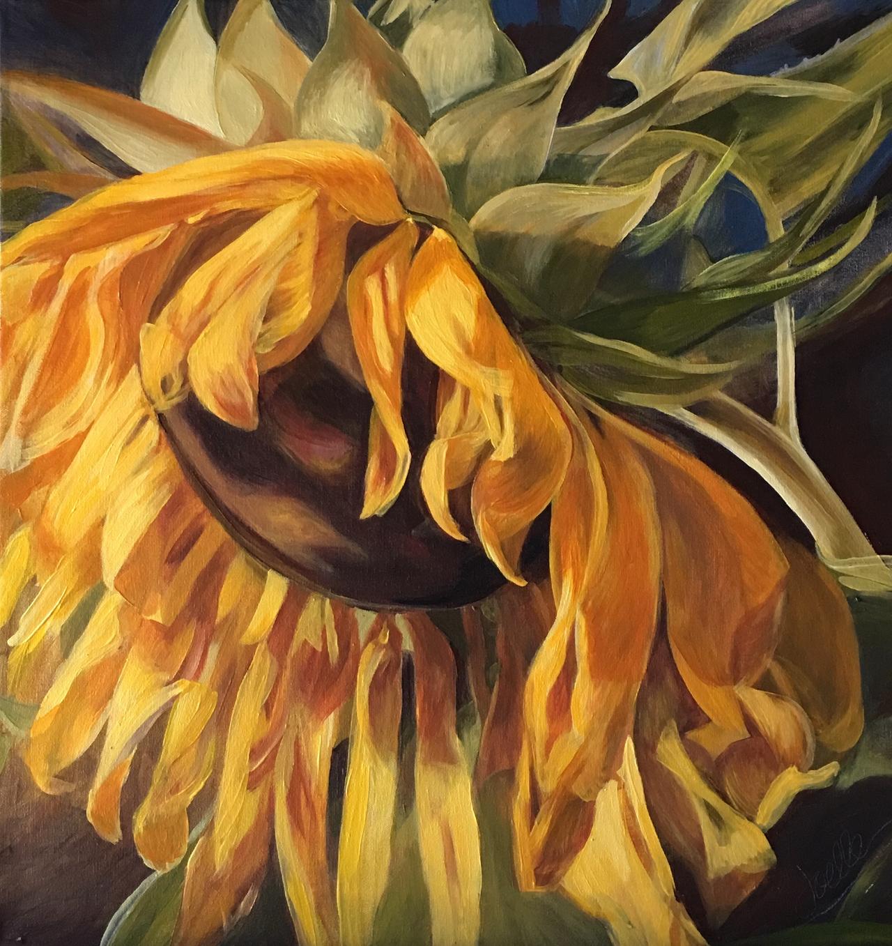 Last Bow Sunflower by Joelle Goff