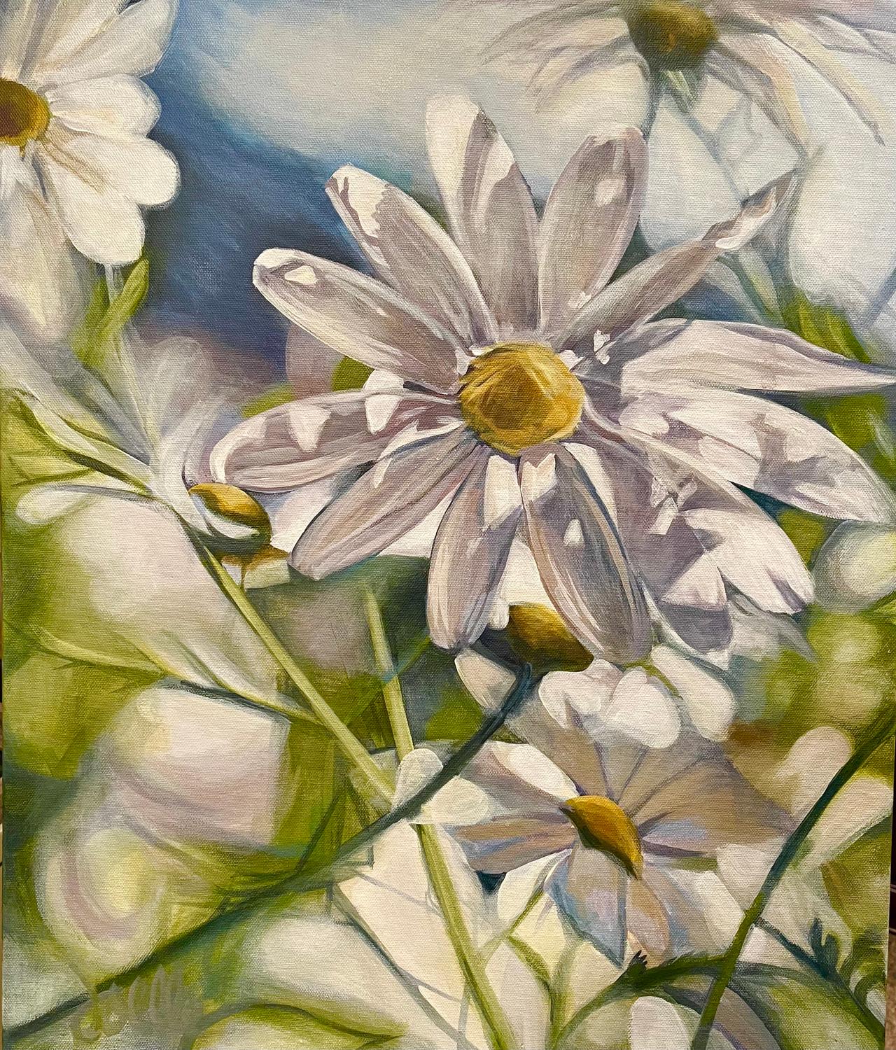 Mountain Daisy by Joelle Goff