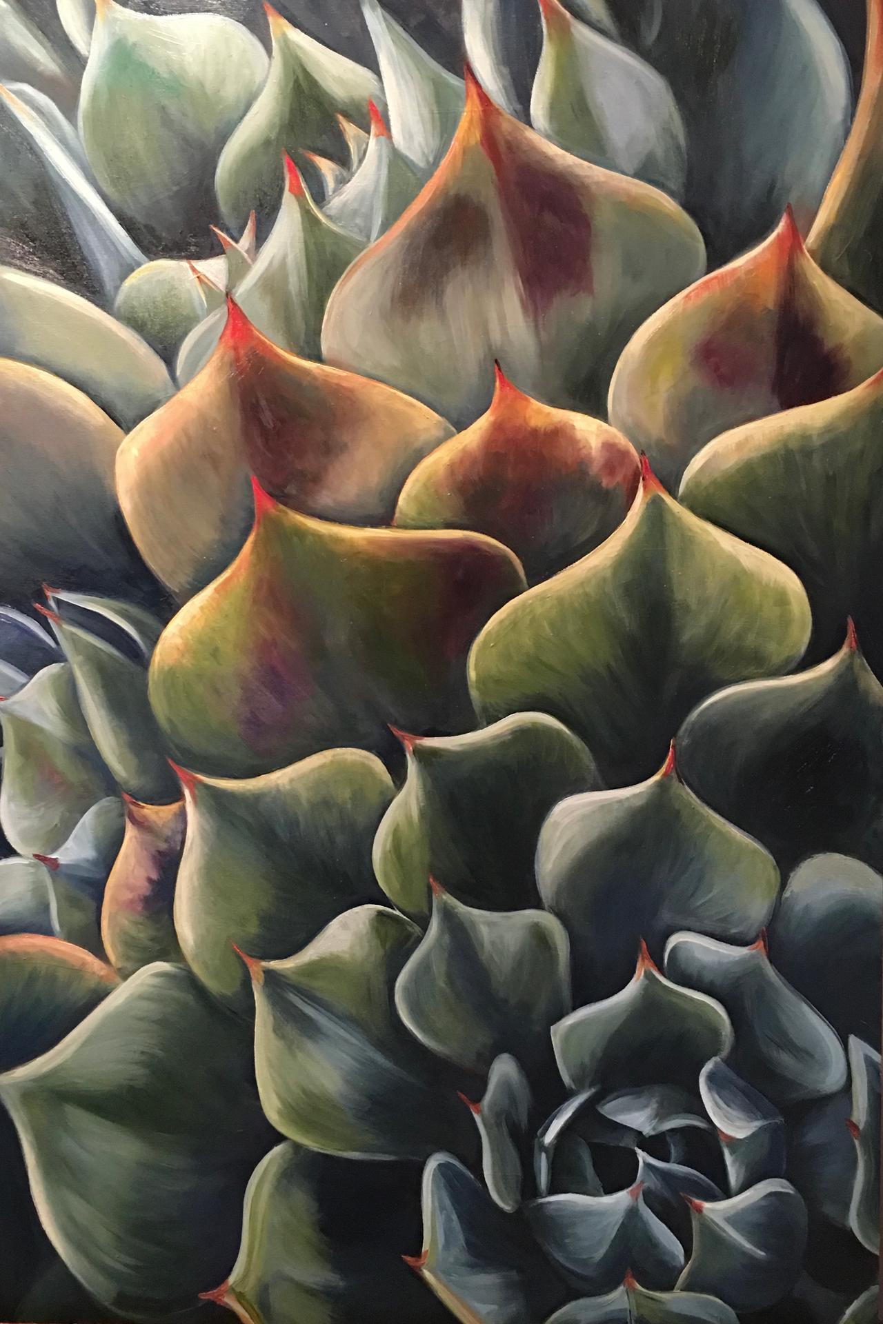 Succulents by Joelle Goff