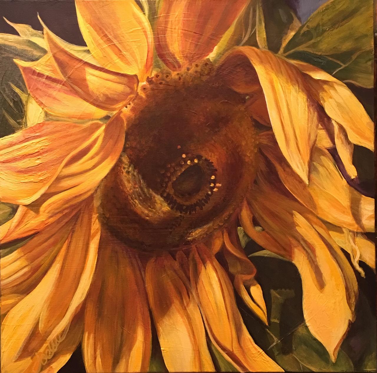 Sunflower Shadows by Joelle Goff