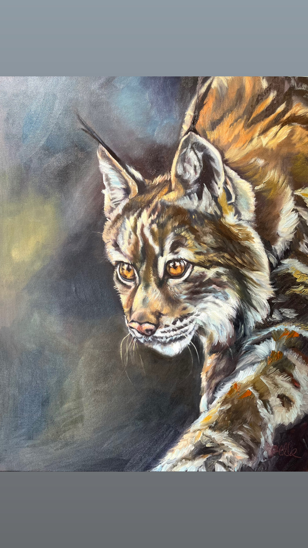 Bobcat Painting — original oil painting by Joelle Goff