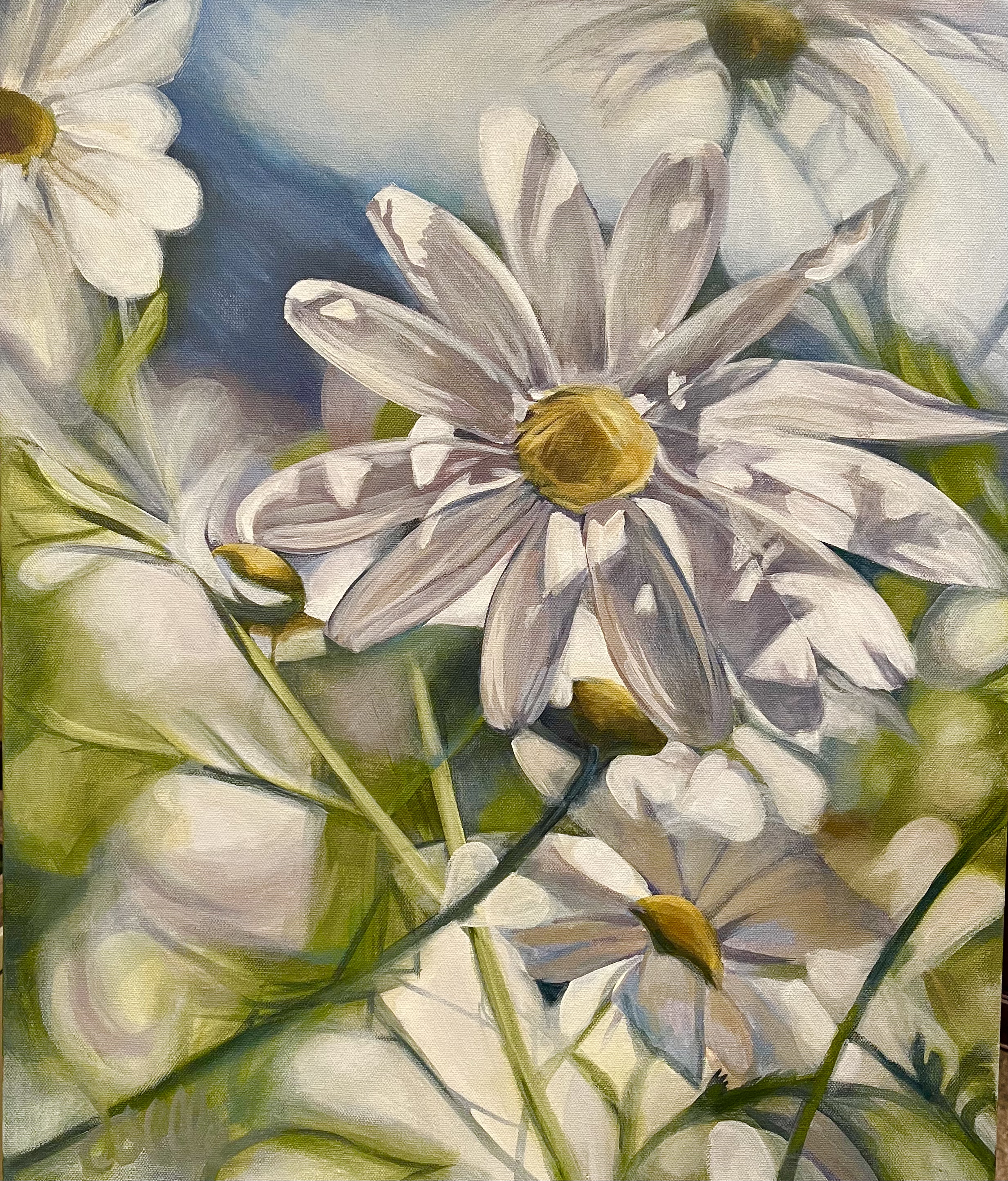 Mountain Daisy — original oil painting by Joelle Goff